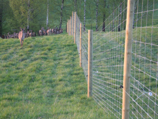 systemy ogrodzeniowe wykonawstwo fermy jeleniowatych kompleksowa obsługa grodzenie dużych obszarów Polska MILU